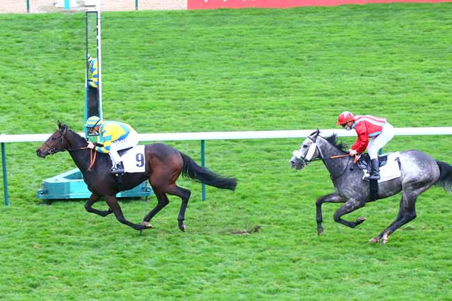 Photo d'arrivée de la course pmu PRIX DU PONT DE SULLY à LONGCHAMP le Dimanche 25 octobre 2020