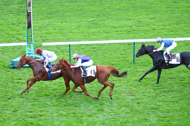 Photo d'arrivée de la course pmu PRIX MAJOR FRIDOLIN à LONGCHAMP le Dimanche 25 octobre 2020