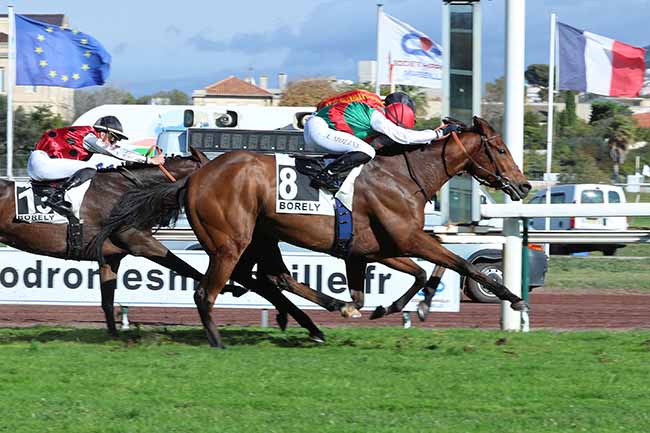 Photo d'arrivée de la course pmu HANDICAP DE MARSEILLE à MARSEILLE-BORELY le Lundi 26 octobre 2020