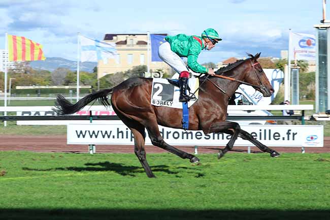 Photo d'arrivée de la course pmu PRIX TWIG à MARSEILLE-BORELY le Lundi 26 octobre 2020