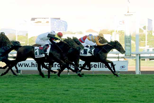 Photo d'arrivée de la course pmu PRIX GYPTIS ET PROTIS à MARSEILLE-BORELY le Lundi 26 octobre 2020
