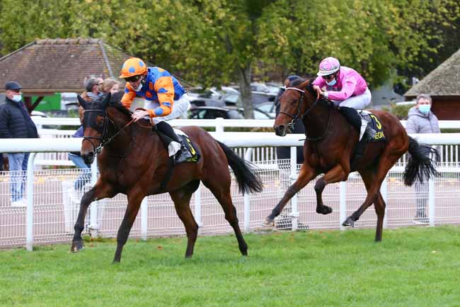 Photo d'arrivée de la course pmu PRIX D'HARAMONT à COMPIEGNE le Mardi 27 octobre 2020