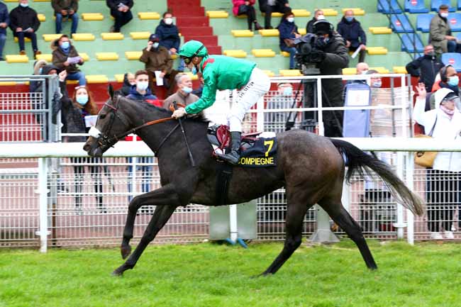 Photo d'arrivée de la course pmu PRIX AU-DELA DES PISTES à COMPIEGNE le Mardi 27 octobre 2020