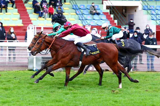 Photo d'arrivée de la course pmu PRIX DE TRACY-LE-MONT à COMPIEGNE le Mardi 27 octobre 2020