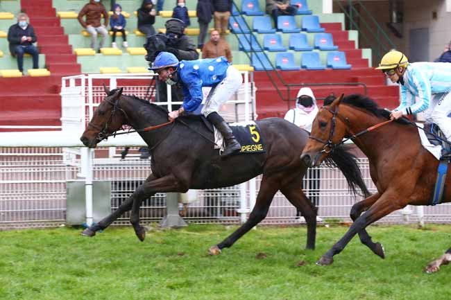 Photo d'arrivée de la course pmu PRIX DE LA FORET DE RETZ à COMPIEGNE le Mardi 27 octobre 2020
