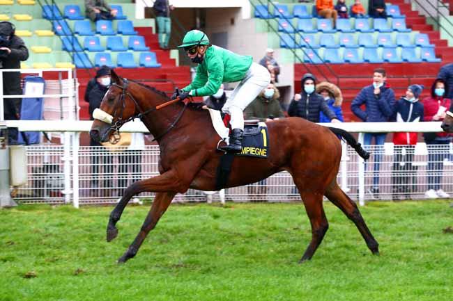 Photo d'arrivée de la course pmu PRIX DE LA CROIX SAINT-OUEN à COMPIEGNE le Mardi 27 octobre 2020
