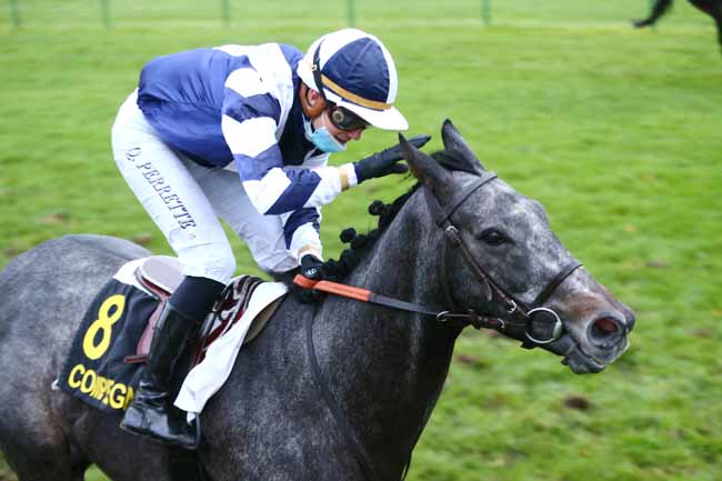 Photo d'arrivée de la course pmu PRIX DE VERBERIE à COMPIEGNE le Mardi 27 octobre 2020