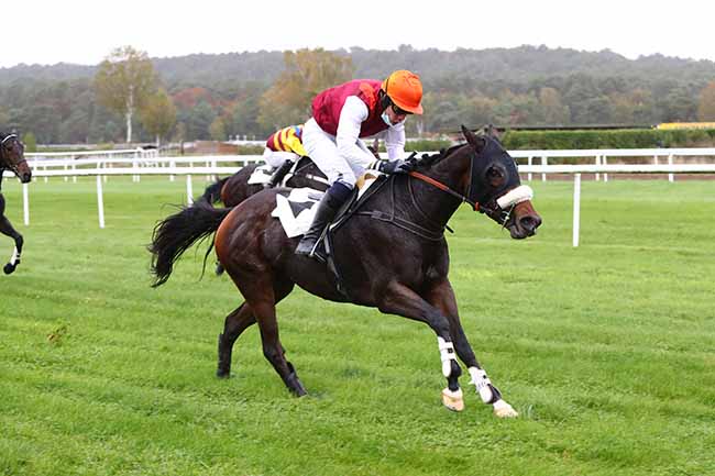 Photo d'arrivée de la course pmu PRIX WWW.COURSESCHEVAUX.FR à FONTAINEBLEAU le Mardi 27 octobre 2020