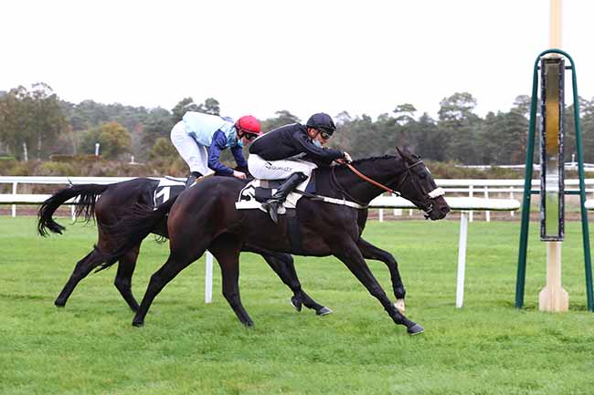 Photo d'arrivée de la course pmu PRIX PAUL TAVERNIER à FONTAINEBLEAU le Mardi 27 octobre 2020
