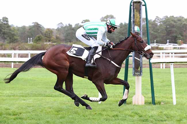 Photo d'arrivée de la course pmu PRIX PATRICE QUENEDEY à FONTAINEBLEAU le Mardi 27 octobre 2020