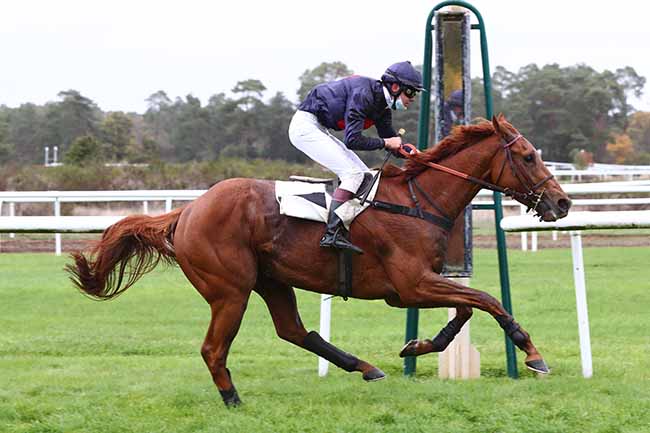 Photo d'arrivée de la course pmu PRIX COMTE ANTOINE DE GONTAUT-BIRON à FONTAINEBLEAU le Mardi 27 octobre 2020