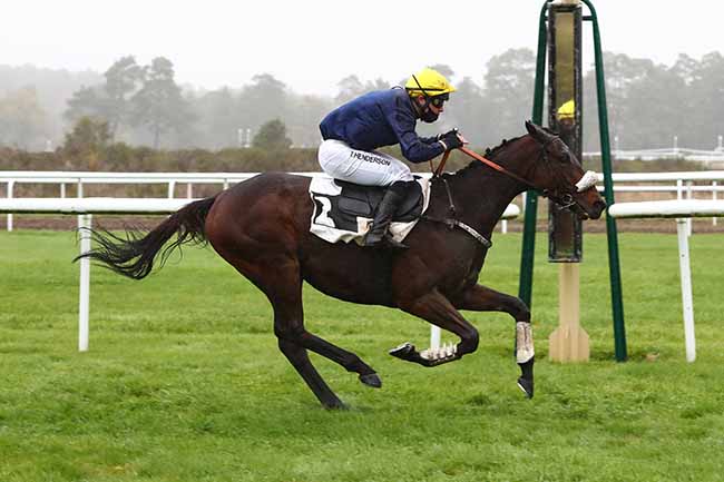 Photo d'arrivée de la course pmu PRIX STYRAX à FONTAINEBLEAU le Mardi 27 octobre 2020