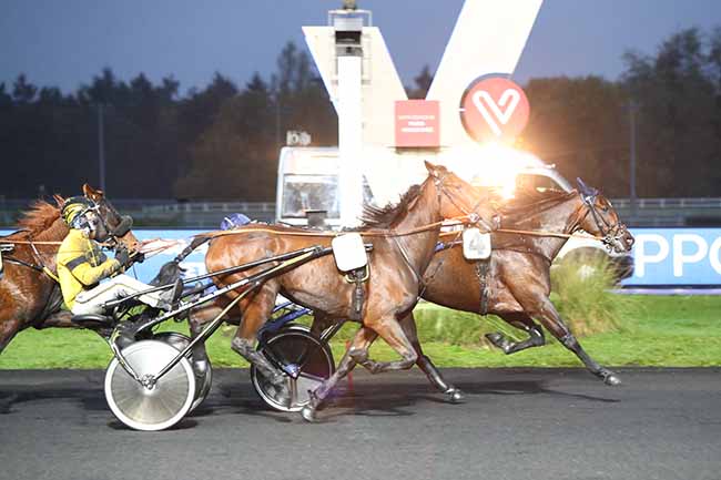 Photo d'arrivée de la course pmu PRIX ANGELINA à PARIS-VINCENNES le Mardi 27 octobre 2020