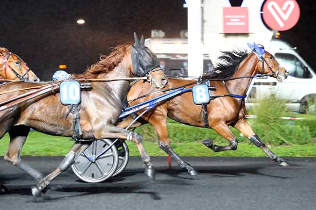 Photo d'arrivée de la course pmu PRIX LAMEIA à PARIS-VINCENNES le Mardi 27 octobre 2020
