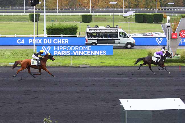 Photo d'arrivée de la course pmu PRIX DU CHER à PARIS-VINCENNES le Mercredi 28 octobre 2020