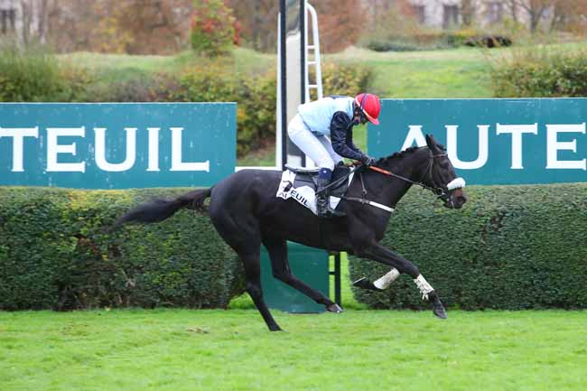 Photo d'arrivée de la course pmu PRIX TRIQUERVILLE à AUTEUIL le Mercredi 28 octobre 2020