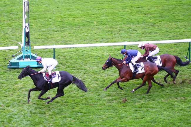 Photo d'arrivée de la course pmu PRIX DE LONGCHAMP à LONGCHAMP le Jeudi 29 octobre 2020