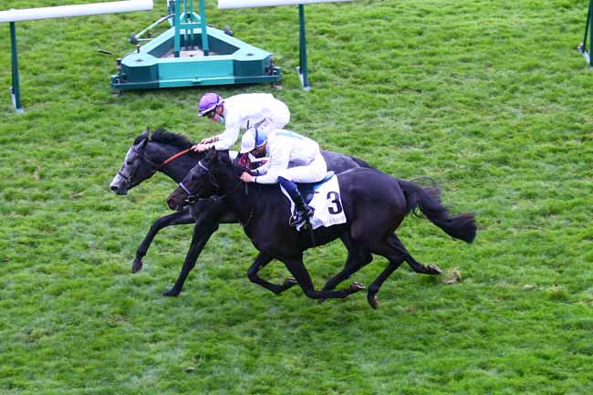 Photo d'arrivée de la course pmu PRIX DE LA MASSELI7RE à LONGCHAMP le Jeudi 29 octobre 2020