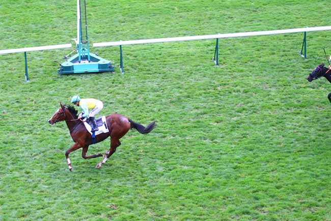 Photo d'arrivée de la course pmu PRIX DE NEUILLY à LONGCHAMP le Jeudi 29 octobre 2020