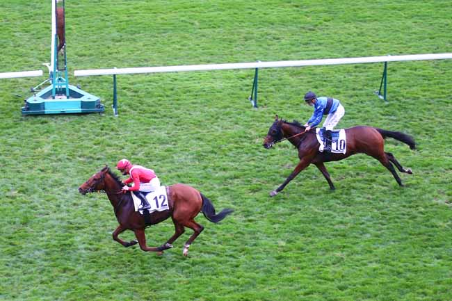 Photo d'arrivée de la course pmu PRIX DE VILLENEUVE-L'ETANG à LONGCHAMP le Jeudi 29 octobre 2020