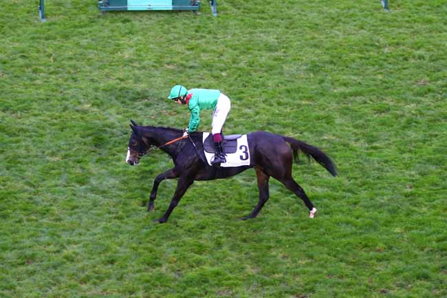 Photo d'arrivée de la course pmu PRIX DE MOGADOR à LONGCHAMP le Jeudi 29 octobre 2020
