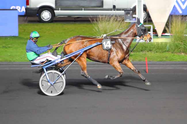 Photo d'arrivée de la course pmu PRIX DRACO à PARIS-VINCENNES le Vendredi 30 octobre 2020