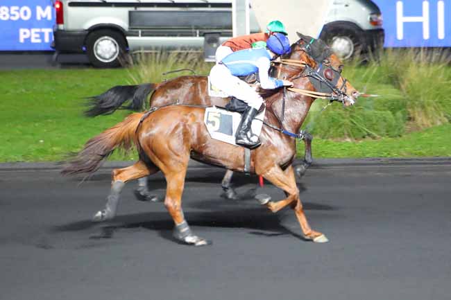 Photo d'arrivée de la course pmu PRIX MENSA à PARIS-VINCENNES le Vendredi 30 octobre 2020