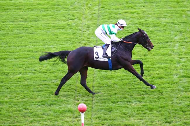 Photo d'arrivée de la course pmu PRIX CHLORIS à SAINT-CLOUD le Vendredi 30 octobre 2020