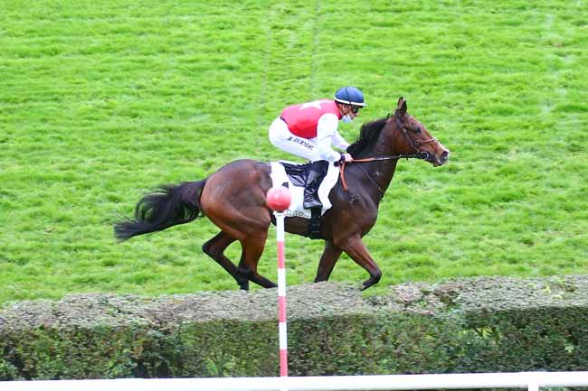Photo d'arrivée de la course pmu PRIX DU VIADUC DE SAINT-CLOUD à SAINT-CLOUD le Vendredi 30 octobre 2020