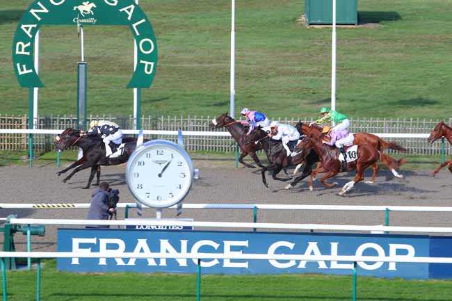 Photo d'arrivée de la course pmu PRIX DU PONT DU CANAL DES DRUIDES à CHANTILLY le Samedi 31 octobre 2020