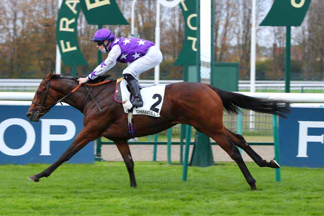 Photo d'arrivée de la course pmu PRIX MIESQUE à CHANTILLY le Samedi 31 octobre 2020
