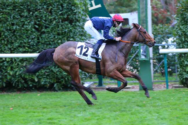 Photo d'arrivée de la course pmu PRIX DE L'AMANTE INQUIETE à CHANTILLY le Samedi 31 octobre 2020