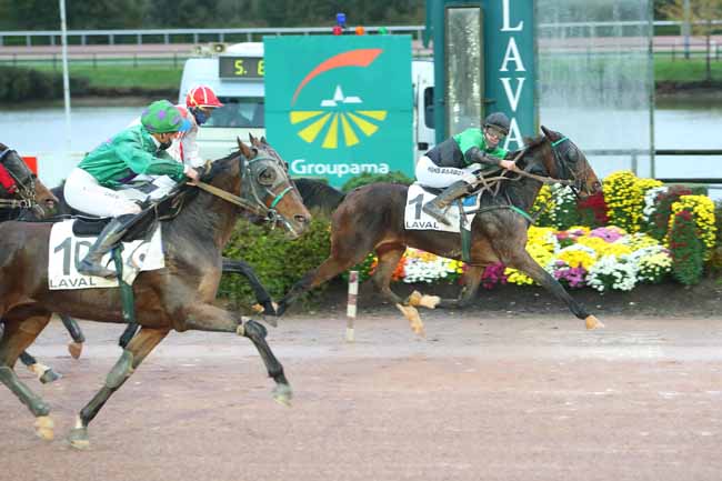 Photo d'arrivée de la course pmu PRIX ANNICK ET GEORGES DREUX à LAVAL le Dimanche 1 novembre 2020