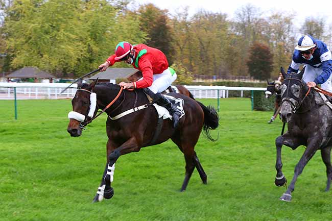 Photo d'arrivée de la course pmu PRIX DE BESANCON à COMPIEGNE le Dimanche 1 novembre 2020