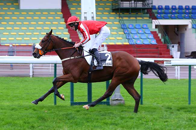 Photo d'arrivée de la course pmu PRIX DE SAINT-RAPHAEL à COMPIEGNE le Dimanche 1 novembre 2020