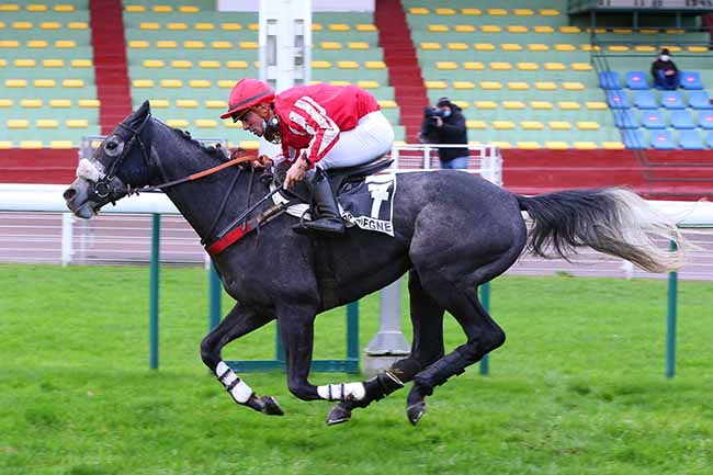 Photo d'arrivée de la course pmu PRIX ROGER SAINT à COMPIEGNE le Dimanche 1 novembre 2020
