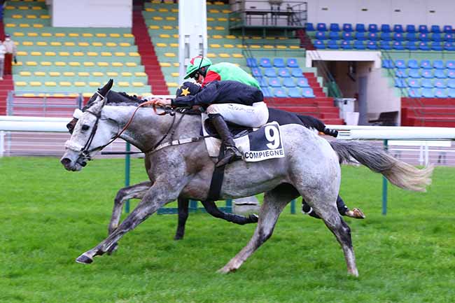 Photo d'arrivée de la course pmu PRIX OENEAS à COMPIEGNE le Dimanche 1 novembre 2020
