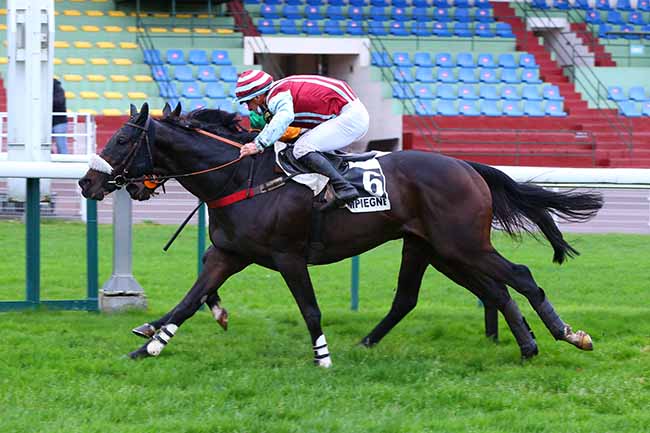 Photo d'arrivée de la course pmu GRAND STEEPLE-CHASE DE COMPIEGNE à COMPIEGNE le Dimanche 1 novembre 2020