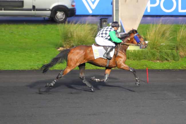 Photo d'arrivée de la course pmu PRIX D'ANGERS à PARIS-VINCENNES le Lundi 2 novembre 2020