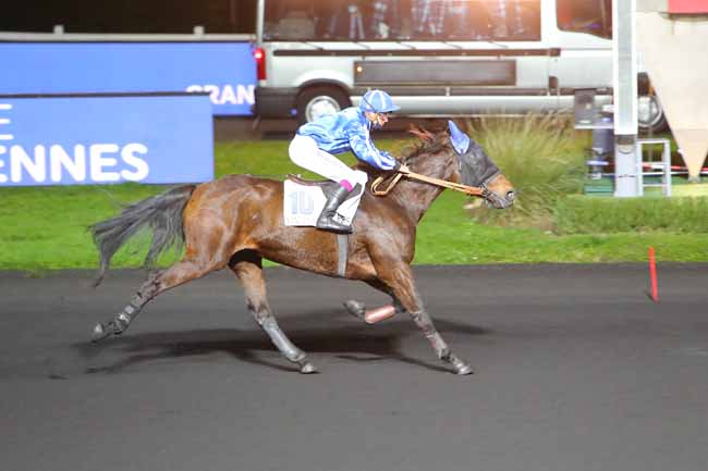 Photo d'arrivée de la course pmu PRIX OHIO à PARIS-VINCENNES le Mardi 3 novembre 2020