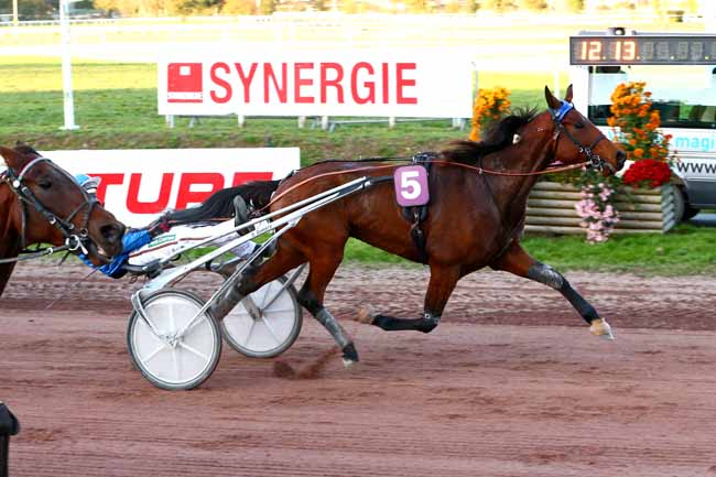 Photo d'arrivée de la course pmu PRIX MOET ET CHANDON à NANTES le Mercredi 4 novembre 2020