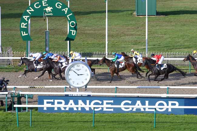 Photo d'arrivée de la course pmu PRIX DE L'EMBARCADERE à CHANTILLY le Mercredi 4 novembre 2020
