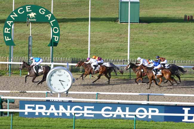 Photo d'arrivée de la course pmu PRIX DE LA BERGERIE à CHANTILLY le Mercredi 4 novembre 2020