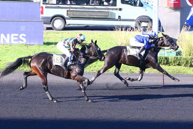 Photo d'arrivée de la course pmu PRIX D'AVESNES à PARIS-VINCENNES le Jeudi 5 novembre 2020