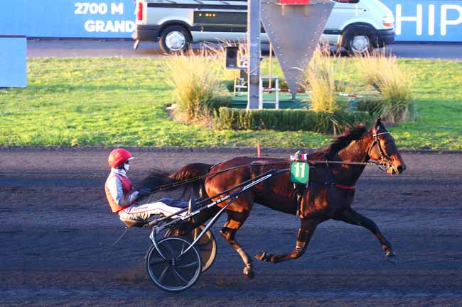 Photo d'arrivée de la course pmu PRIX DE CORMELLES à PARIS-VINCENNES le Jeudi 5 novembre 2020