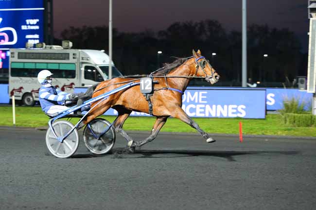 Photo d'arrivée de la course pmu PRIX CERES à PARIS-VINCENNES le Vendredi 6 novembre 2020