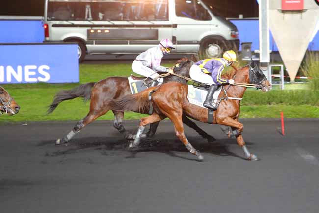 Photo d'arrivée de la course pmu PRIX ADELHEID à PARIS-VINCENNES le Vendredi 6 novembre 2020