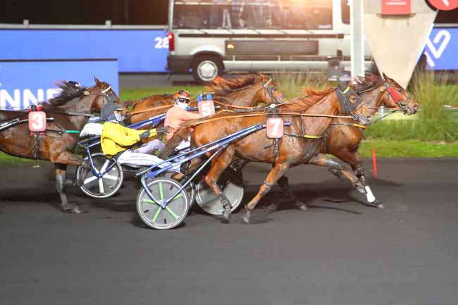 Photo d'arrivée de la course pmu PRIX PALATIA à PARIS-VINCENNES le Vendredi 6 novembre 2020