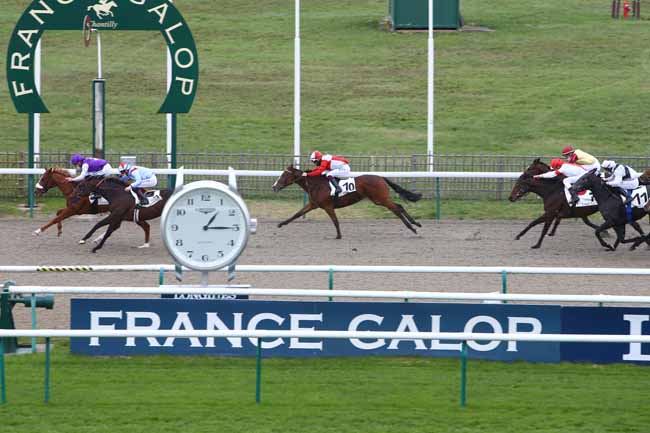 Photo d'arrivée de la course pmu PRIX DE LA SEIGNEURERIE à CHANTILLY le Vendredi 6 novembre 2020