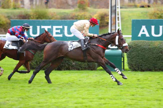 Photo d'arrivée de la course pmu PRIX CONGRESS à AUTEUIL le Dimanche 8 novembre 2020
